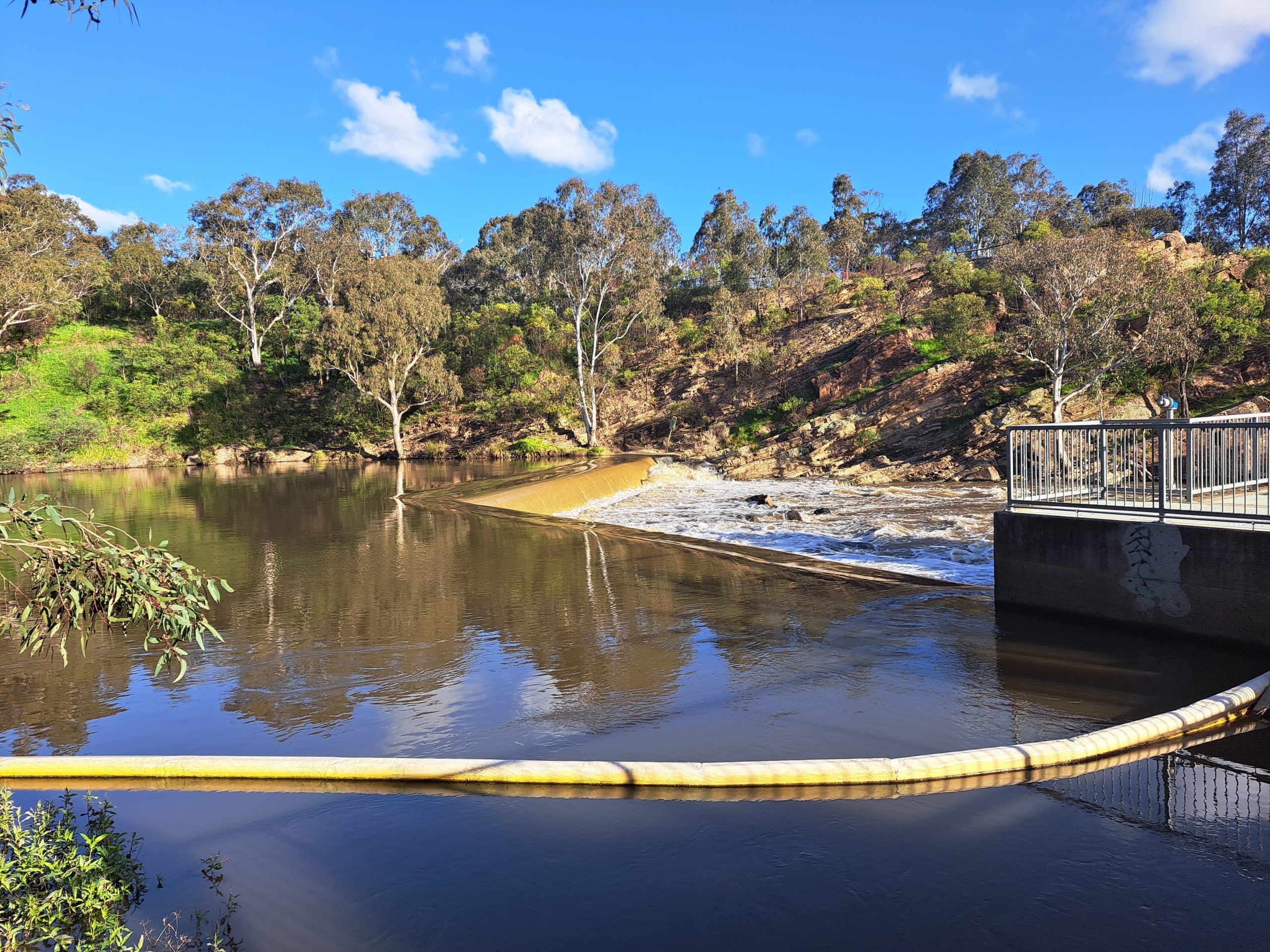 An Oasis in the Middle of a Concrete Jungle – A Day Walk through Yarra Bend Park