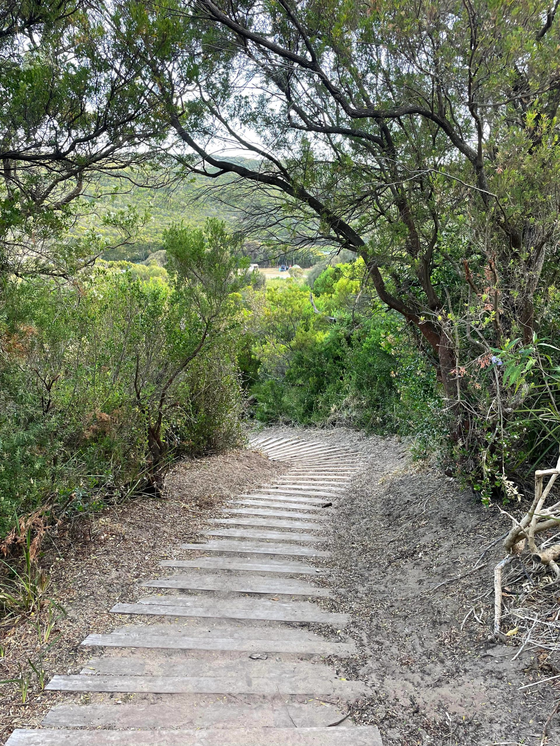 Great Ocean Walk Day 3 – Cape Otway to Aire River