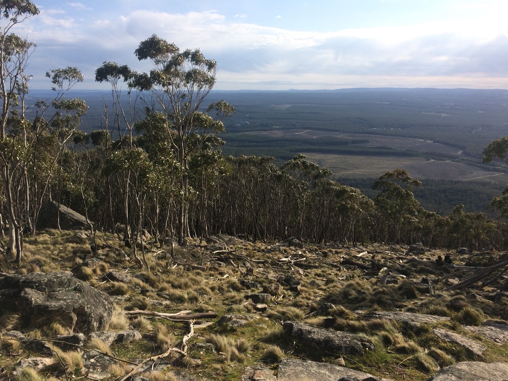 A Serene Stroll: Exploring the Beauty of Macedon Ranges – Trail ...