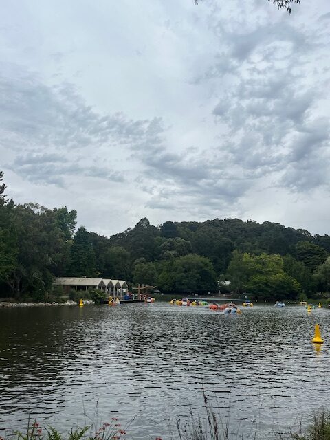 Emerald to Cockatoo Rail Trail – a hidden gem an hour past Melbourne