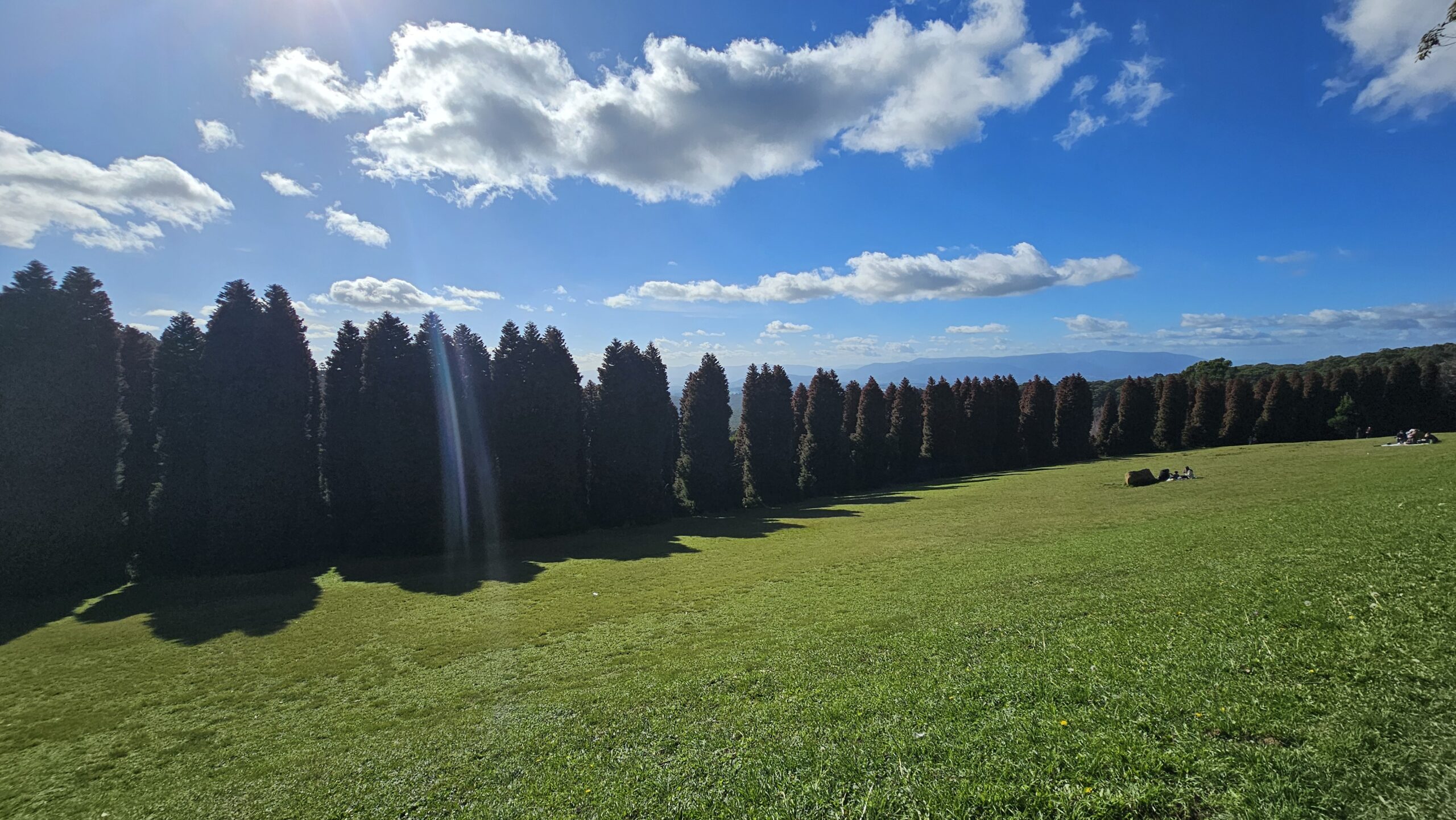 A Spectacular Scenic Hike – Olinda, Victoria