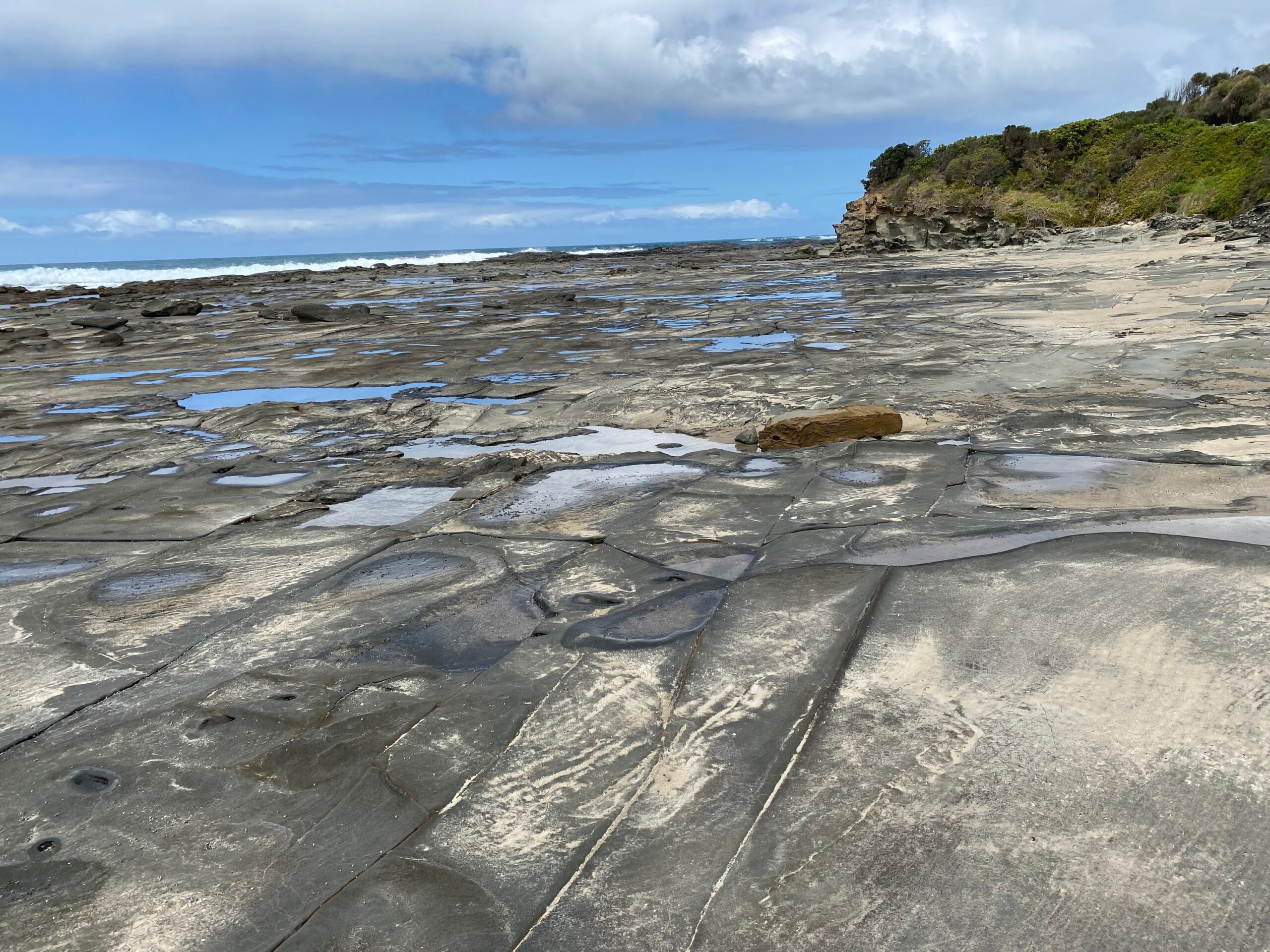 Apollo Bay to Shelly Beach Walk
