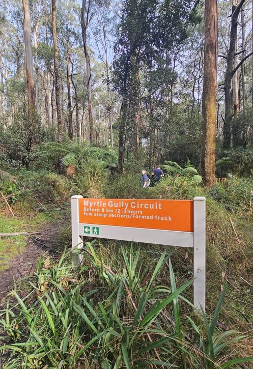 Myrtle Gully Circuit