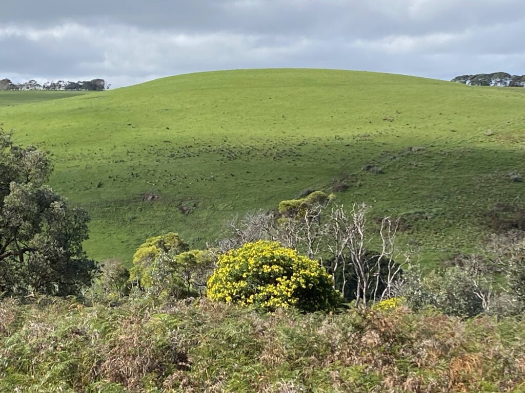 green hill